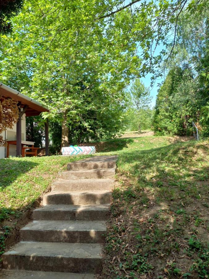 Helena Apartman Черсегтомай Экстерьер фото